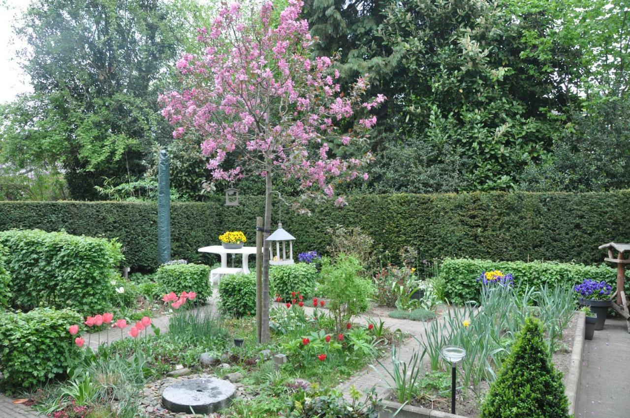 Huize Huizinga Bed & Breakfast De Steeg Dış mekan fotoğraf